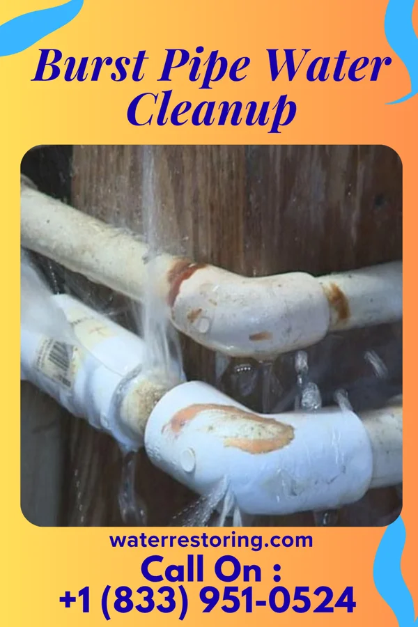 Burst Pipe Water Cleanup in Browns, IL